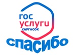 СПАСИБО, ГОСУСЛУГИ!