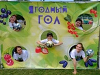 XI Областной праздник жимолости в селе Бакчар